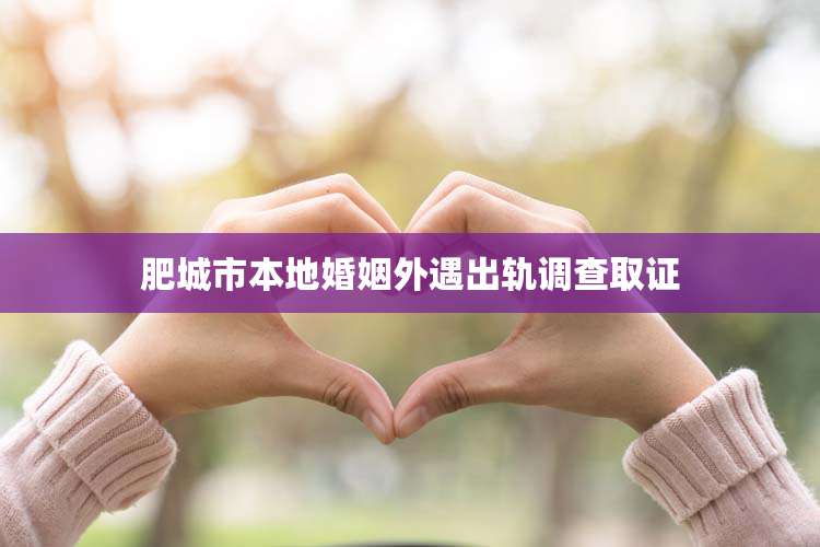 肥城市本地婚姻外遇出轨调查取证