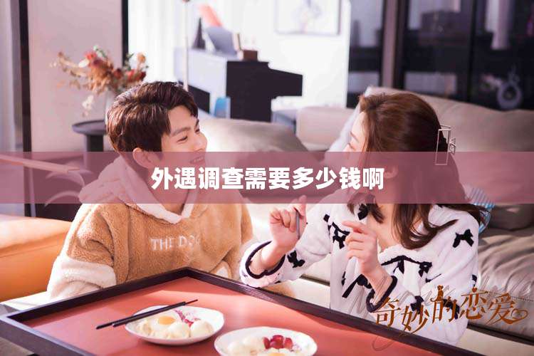 外遇调查需要多少钱啊