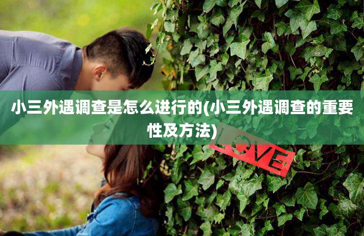 小三外遇调查是怎么进行的(小三外遇调查的重要性及方法)