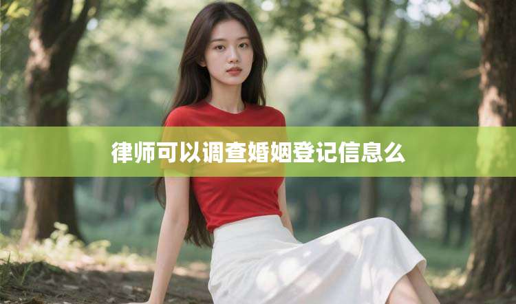 律师可以调查婚姻登记信息么