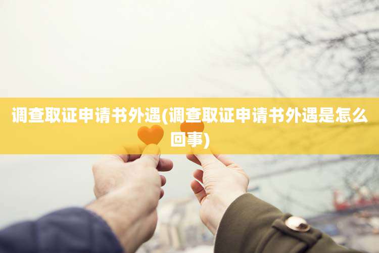 调查取证申请书外遇(调查取证申请书外遇是怎么回事)