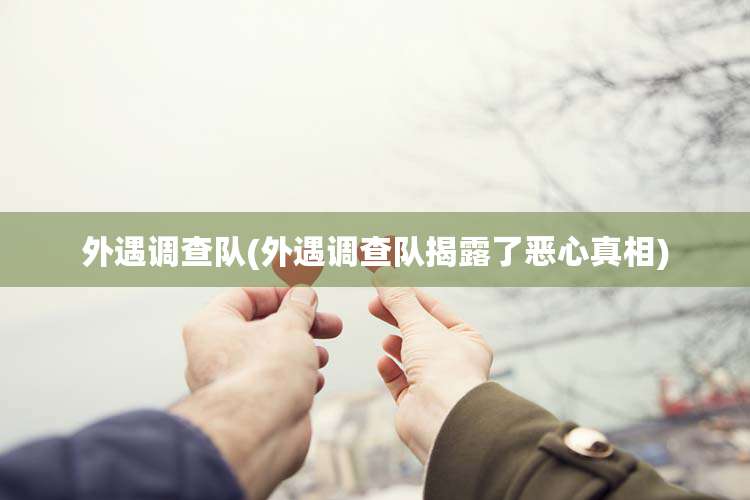 外遇调查队(外遇调查队揭露了恶心真相)