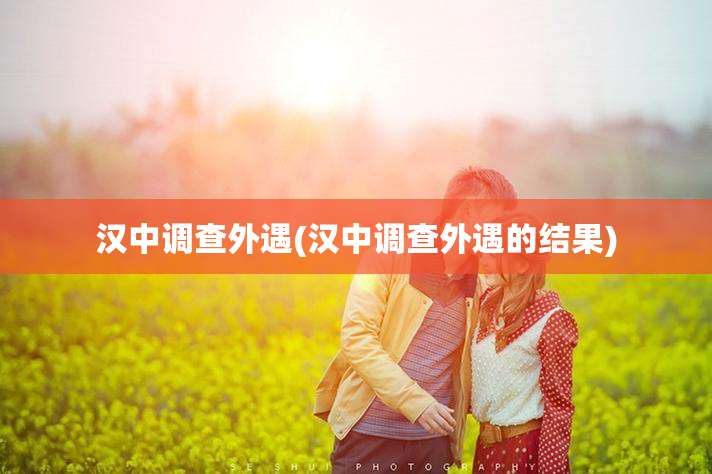 汉中调查外遇(汉中调查外遇的结果)