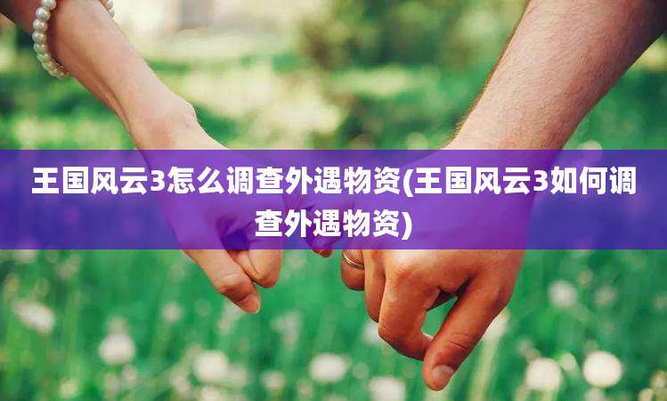 王国风云3怎么调查外遇物资(王国风云3如何调查外遇物资)